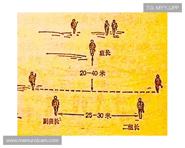 南安普顿战术解析：近期阵型调整与攻防表现走势清晰