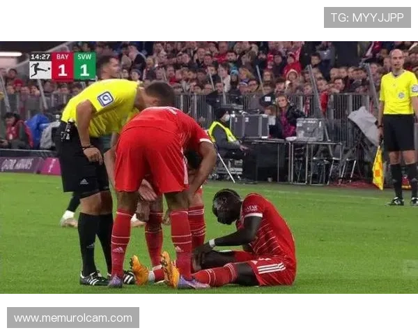 法马定位球表现